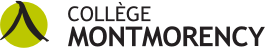 Collège Montmorency